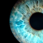 curiosidades sobre los ojos