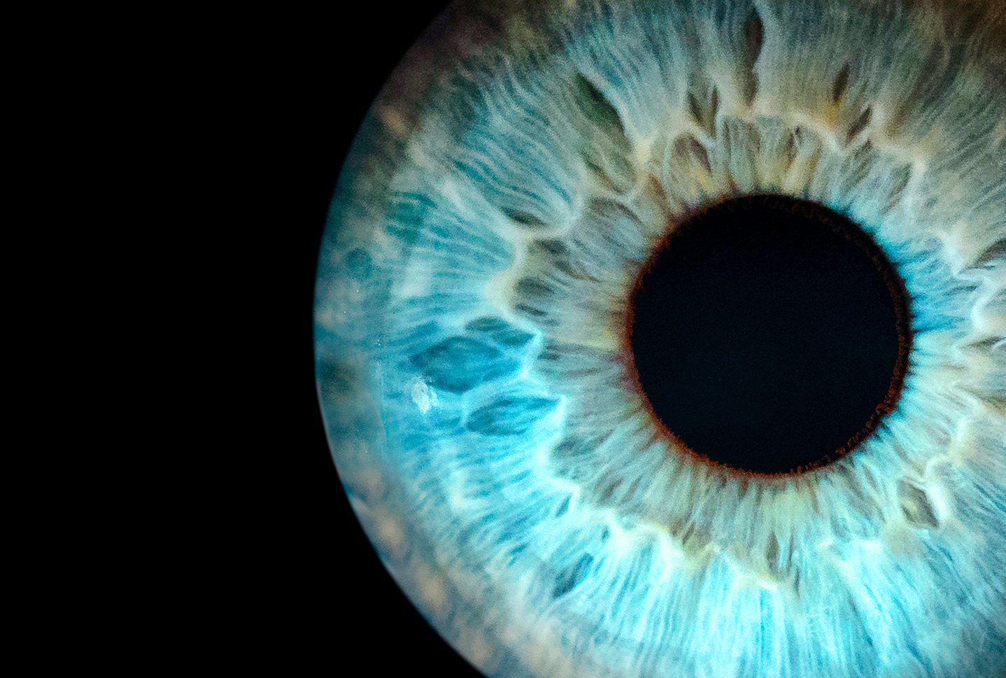 curiosidades sobre los ojos